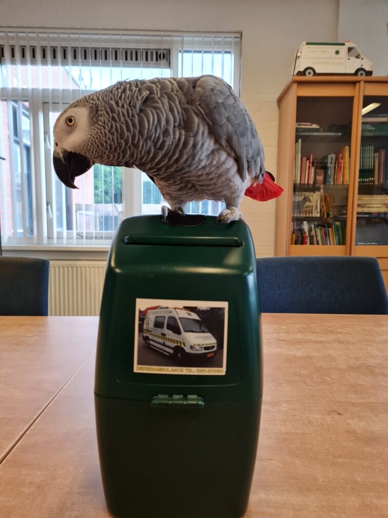 Een paar uurtjes van uw tijd en wij kunnen 24/7 aan de slag.